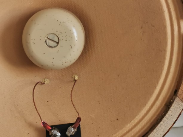 deux-haut-parleurs-inverses-audax-de-21-cm-big-1