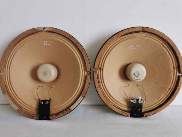 deux-haut-parleurs-inverses-audax-de-21-cm-big-2